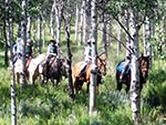 Trail rides lead up and down hills and through the forest.