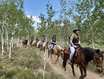 Horseback riding is a favorite activity for many.