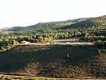 A long range view of the plateau's north half where most activities at the Reid Ranch are available.