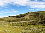 Hills full of sagebrush, aspen trees, and evergreens.