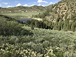 Trees, flowers, and brush with the lake in the background for this scenic view.