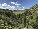 Trees along the hillsides of this mountain scenery.